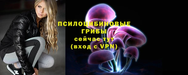хмурый Бикин