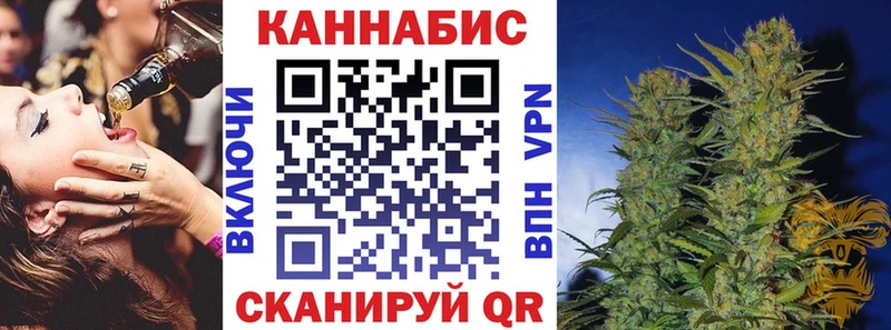 MEGA как зайти  Полярный  Шишки марихуана план  наркотики 